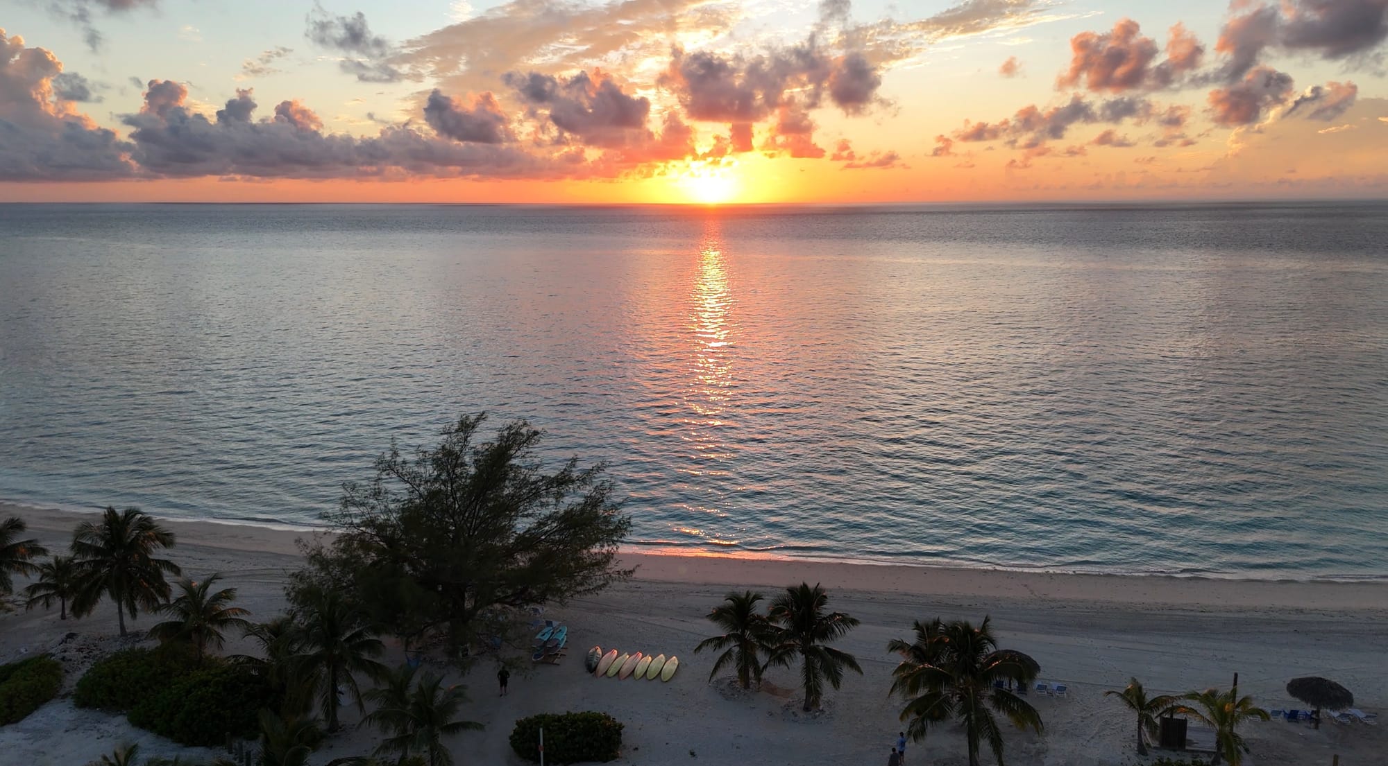 The Things We Do for a Flush