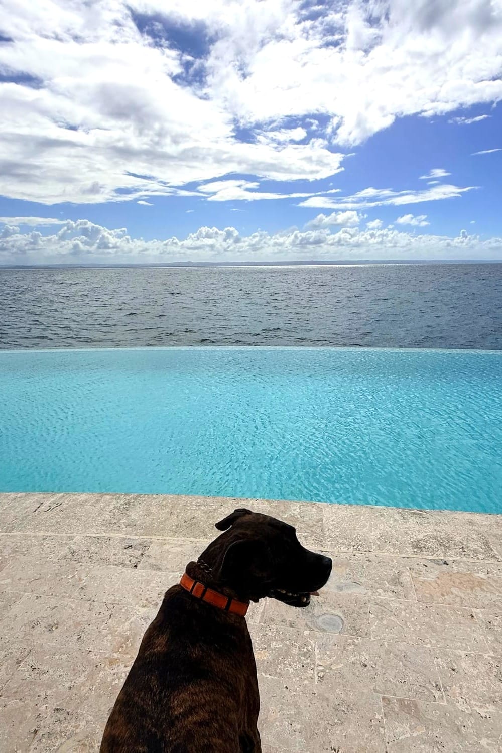 Thanksgiving in Samana: A Meditation on Gratitude, Smugness, and mild Caribbean Terror