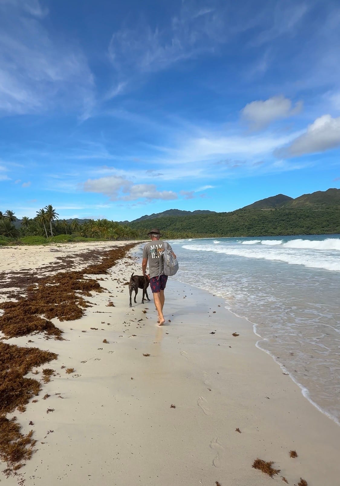 Thanksgiving in Samana: A Meditation on Gratitude, Smugness, and mild Caribbean Terror