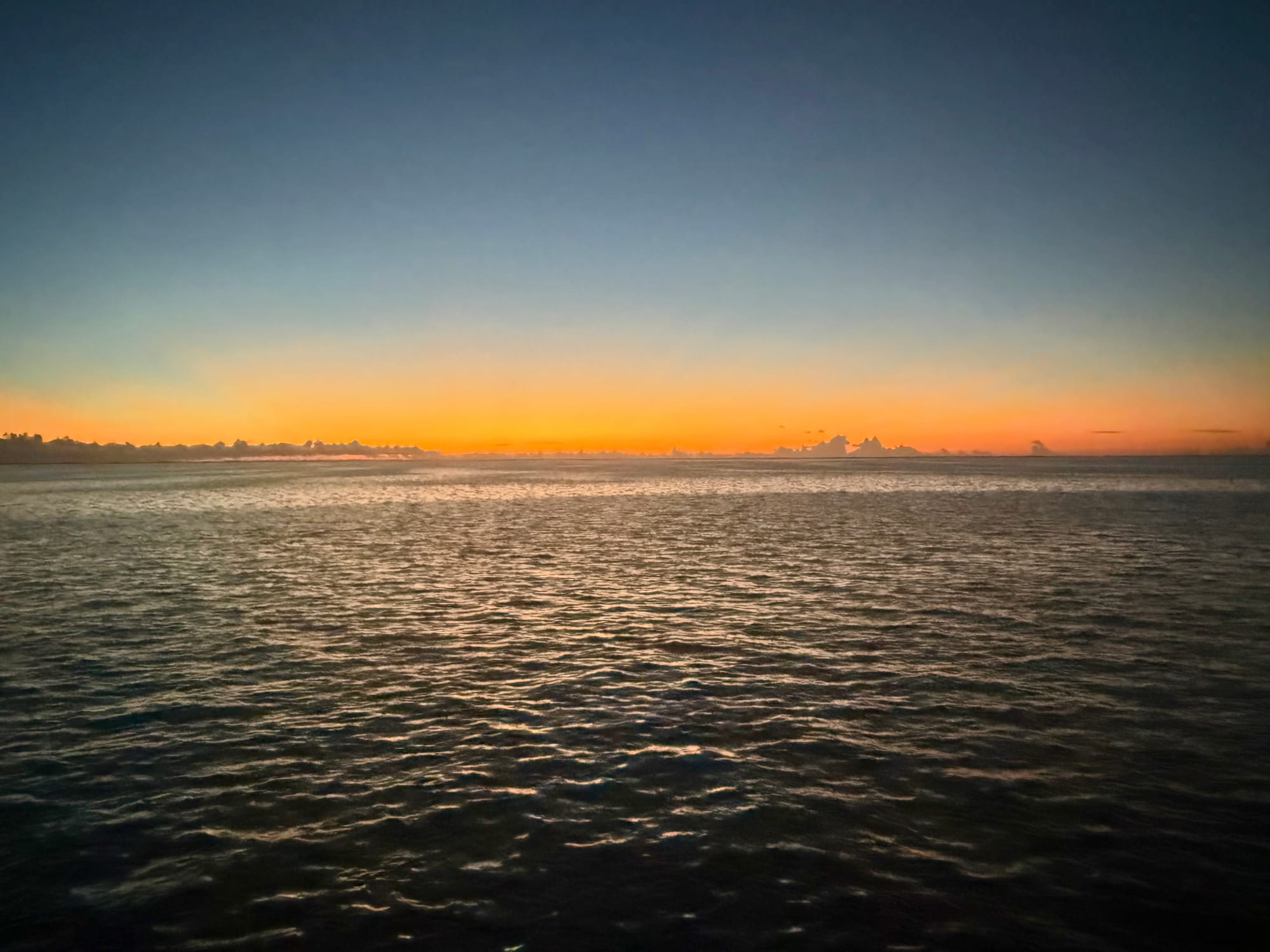 The Woman Who Uploaded Too Much