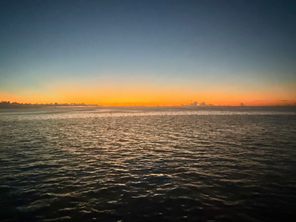 The Woman Who Uploaded Too Much